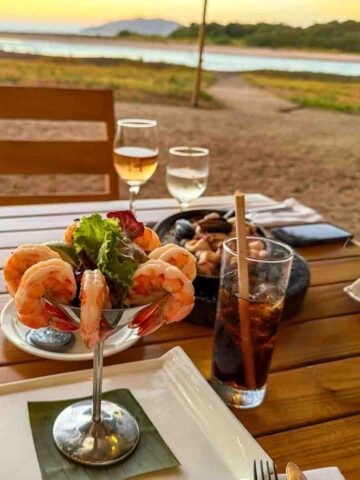 Best Restaurants in Tamarindo